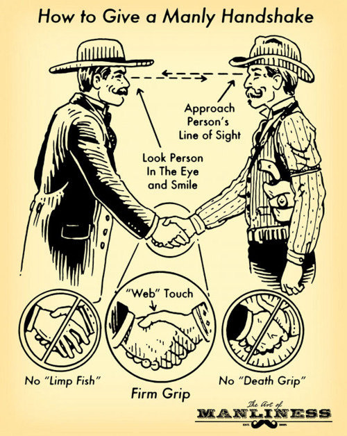 funny-pictures-auto-how-to-handshake-371892.jpeg