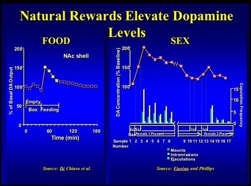 Dopamine Units Chart